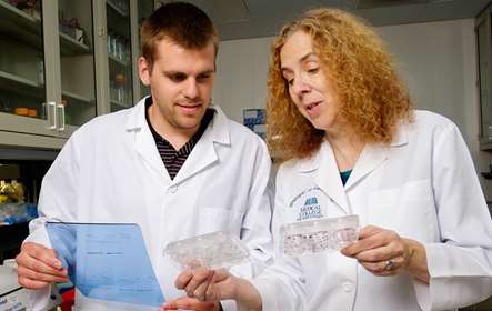 Pharmacology and Toxicology