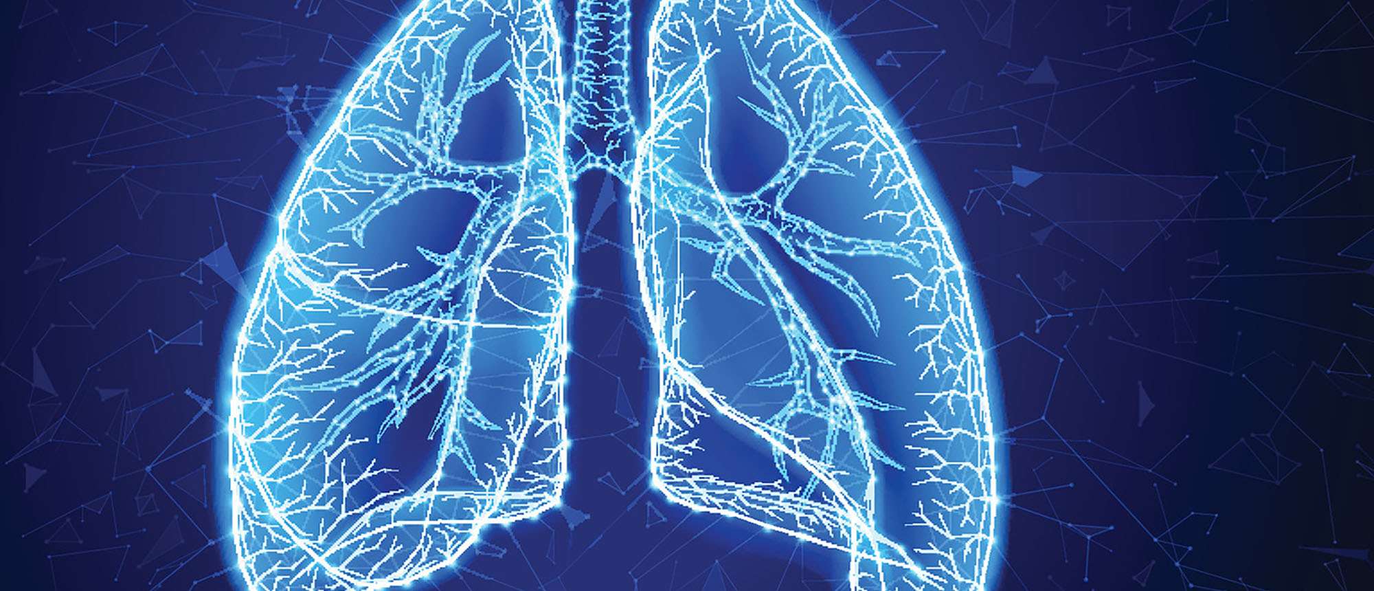 Biomechanical signaling in the lungs