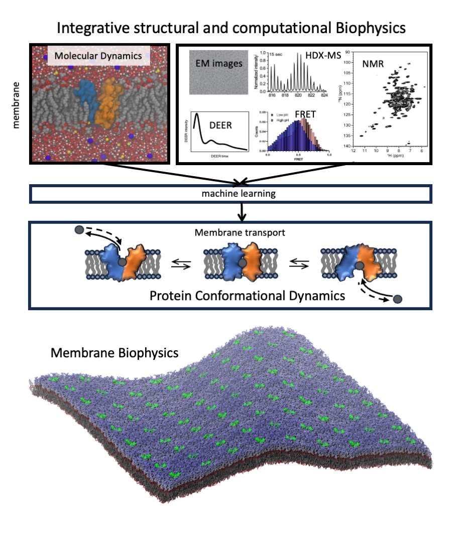 Marinelli_Academic Profile Content_Scheme