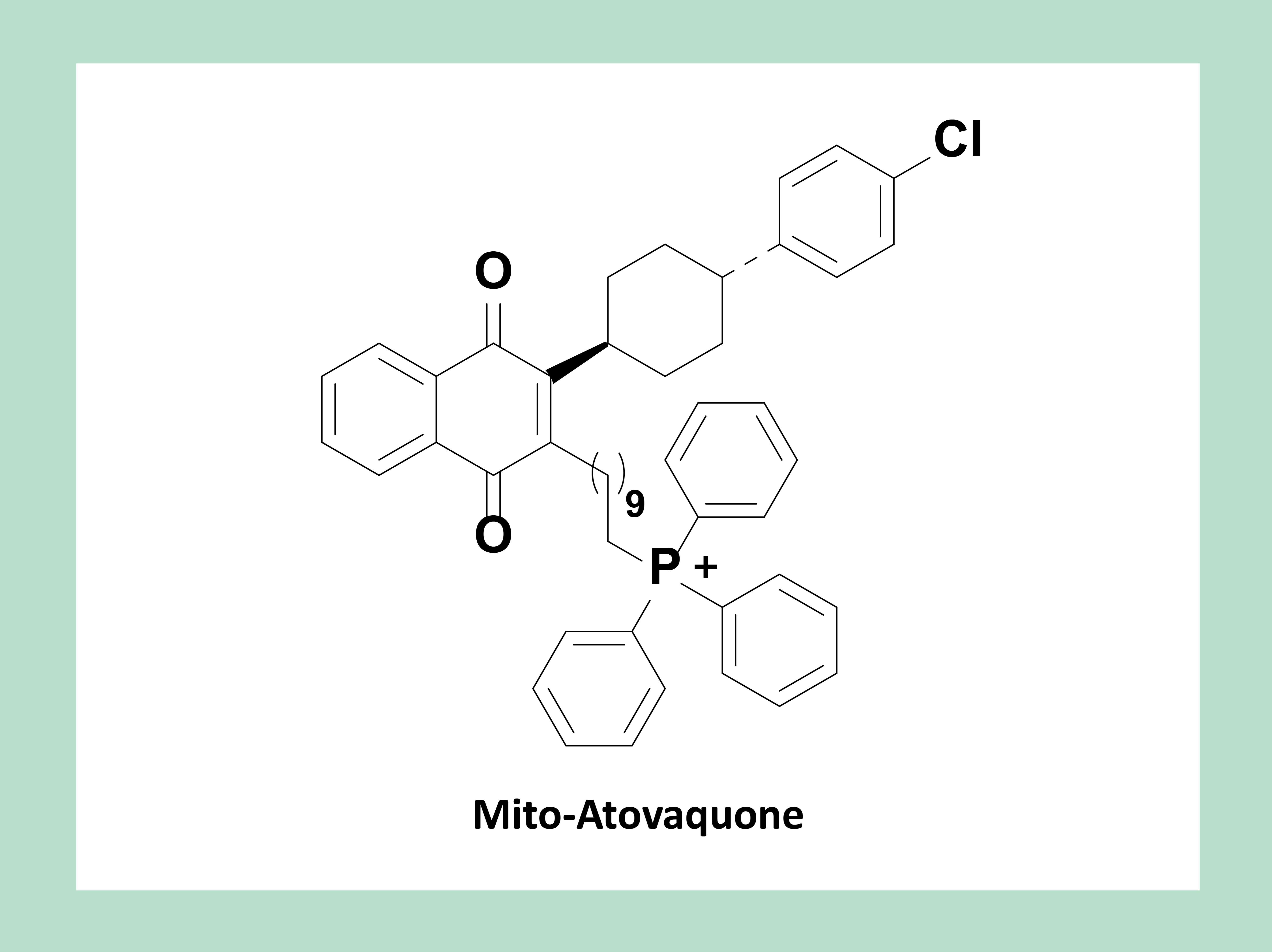 chemical structure of mito-atovaquone