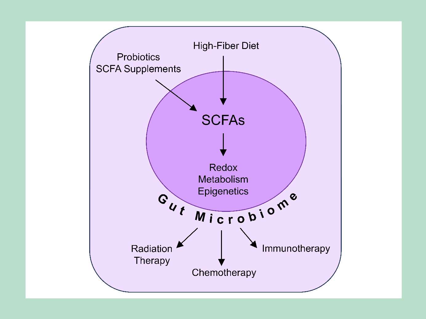 Diagram showing role of SCFAs in cancer prevention and treatment