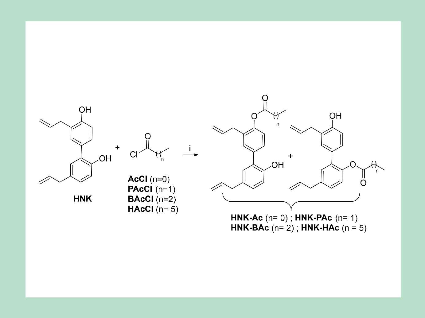 Syntheses of HNK-SCFA esters