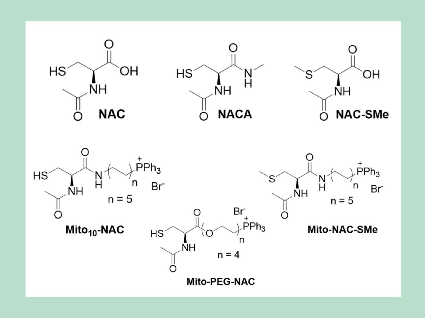 chemical structures of NAC and Mito10-NAC analogs