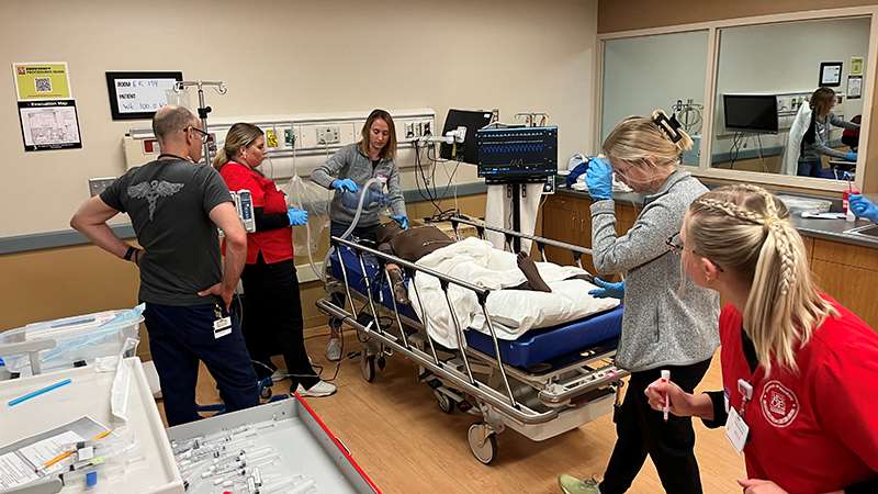 Emergency medicine ER simulation