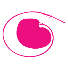 PDAT Icon in pink