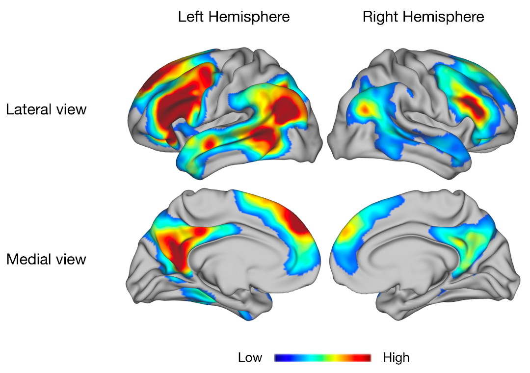 Neural Map of Word Meaning | Brain view