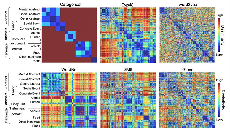 Stuff of Thought Similarity Structures Experiment 1 Data