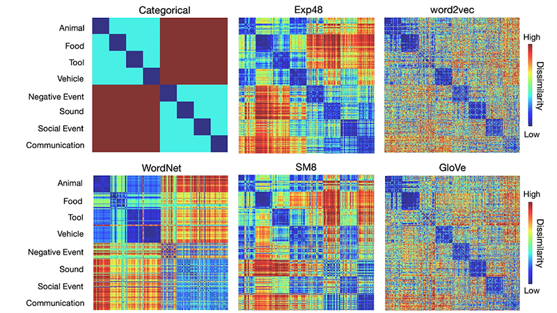 Stuff of Thought Similarity Structures Experiment 2 Data