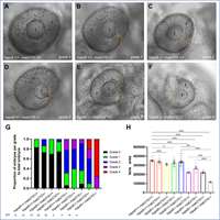 2023_Identification of HSPA8