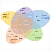 2024_Congenital anterior segement ocular disorders