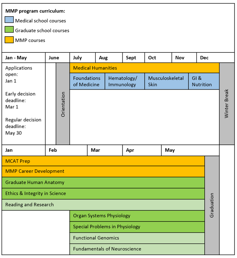 MMP curriculum 2025-2026