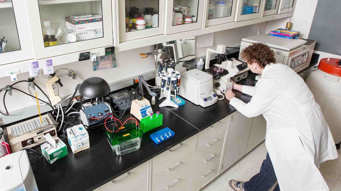 Cell Biology Laboratory | Medical College of Wisconsin